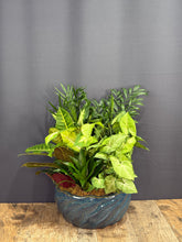 Load image into Gallery viewer, Dish Garden