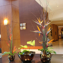 Load image into Gallery viewer, Lobby & Foyer - The Blooming Idea