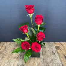 Cargar imagen en el visor de la galería, Swank Six - The Blooming Idea
