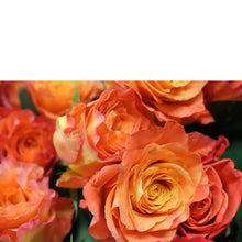 Cargar imagen en el visor de la galería, Swank Six - The Blooming Idea