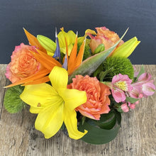 Load image into Gallery viewer, Citrus &amp; Sun
