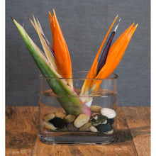 Cargar imagen en el visor de la galería, Restaurant &amp; Bar - The Blooming Idea Florst - The Woodlands, Texas
