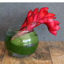 Cargar imagen en el visor de la galería, Restaurant &amp; Bar - The Blooming Idea Florst - The Woodlands, Texas
