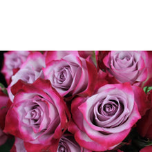Cargar imagen en el visor de la galería, Swank Six - The Blooming Idea
